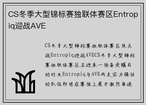 CS冬季大型锦标赛独联体赛区Entropiq迎战AVE