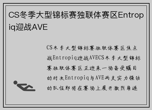 CS冬季大型锦标赛独联体赛区Entropiq迎战AVE